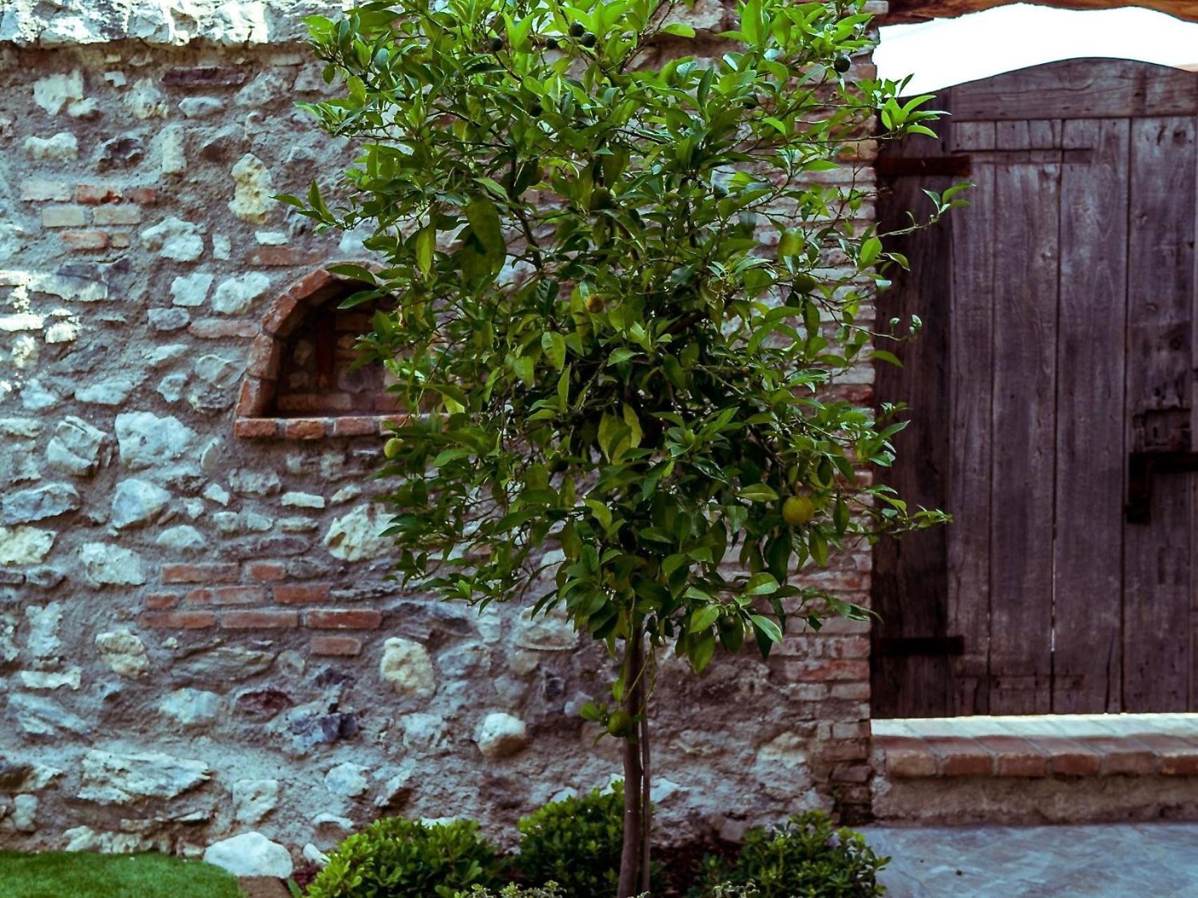 Villa Fontanelle Gardapartments Polpenazze del Garda Exteriör bild